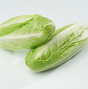 優(yōu)野羅馬生菜